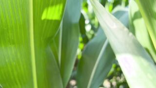 getting anal a****d in the cornfield