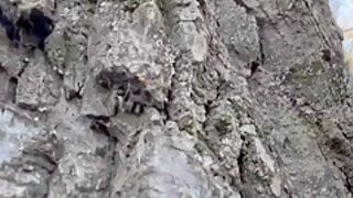 Hiking And Fucking At The Alaska Sand Bluffs