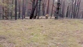 Femfoxfury - Horny Babe Caught In The Woods And Doggystyle Fucked