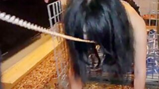 Chinese Princess Caged And Fucked By Black Dick!