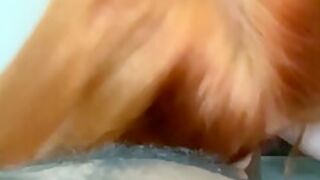 Big Cock Amateur Fucks Shaved Ass