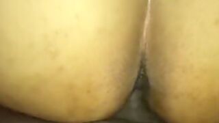 Pussy Fucking Doggystyle Amateur 5 Min