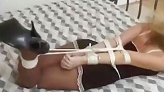 Amber, Hogtied In Pantyhose & Heels, Topless!