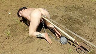 Gardening For Naked Slave Slut Pt4