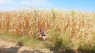 Pee Adventures - Piss Herself In A Corn Field And Wet Her Pristine White Skirt