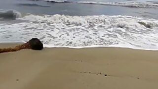 On The Beach An Unknown Girl Sucks My Cock. In Public